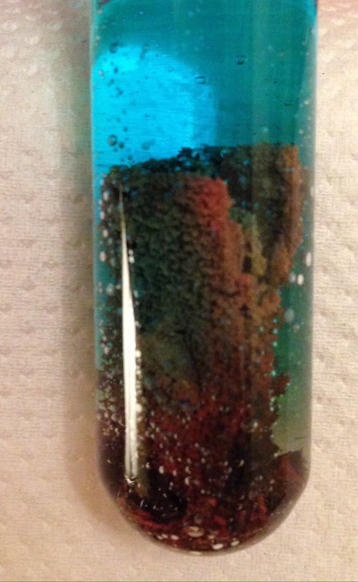 EmilyPrevCons's tweet image. Having fun with copper sulphate &amp;amp; zinc #averagesaturdaynight #chemistryforconservators