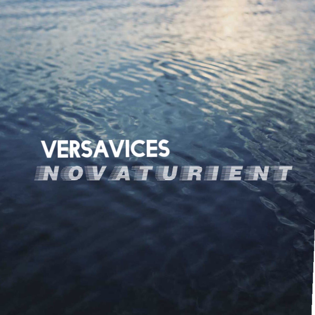 versa_vices's tweet photo. Check out our song Novaturient! Self recorded and produced! https://t.co/oCQ12HlnvY https://t.co/ANdgLO4Pfe