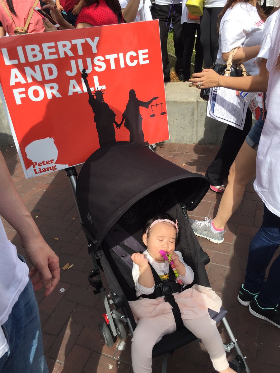 YusiCC's tweet photo. @KHOU @KPRC2 @Fox26Houston #justice4liang youngest protester today in#Houston! https://t.co/E8zSGBKPx2