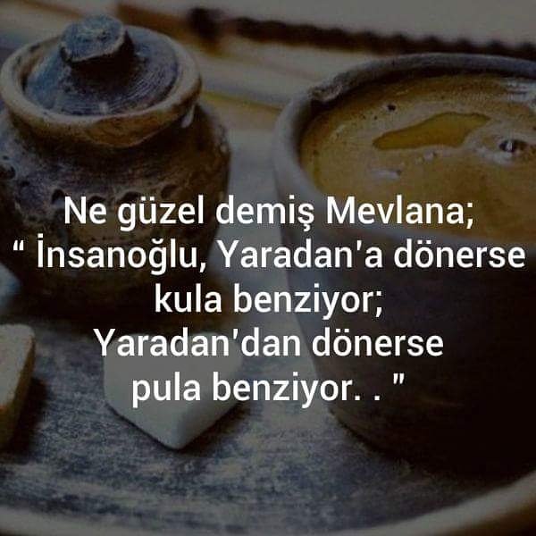 Siz neye benziyorsunuz, kula mı, pula mı ?