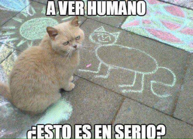 margaamaya's tweet photo. Ja a Ja ja !!! https://t.co/pzeDiZutbd