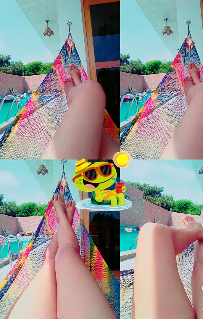 Stephanie_PMG's tweet photo. :-) ...<3 ยซยป <>,<>
#Cacita_de_campo...
#morochita...
#rico_sol... :-) https://t.co/JfrwIRZ0My
