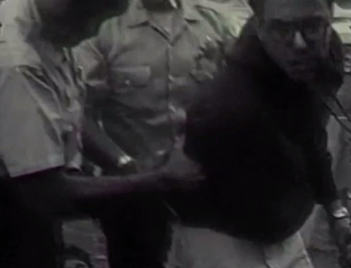 SebastianMurdoc's tweet photo. Watch a young @BernieSanders get arrested while protesting segregation. https://t.co/7rbzIq1nNZ https://t.co/7deIvFBwB4