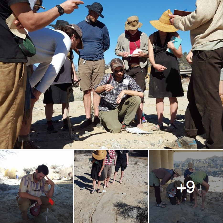 teamcoyote's tweet photo. #AnimalTracking with the #Anakes https://t.co/KWoLoXuP8m https://t.co/JCahiXTPXo
