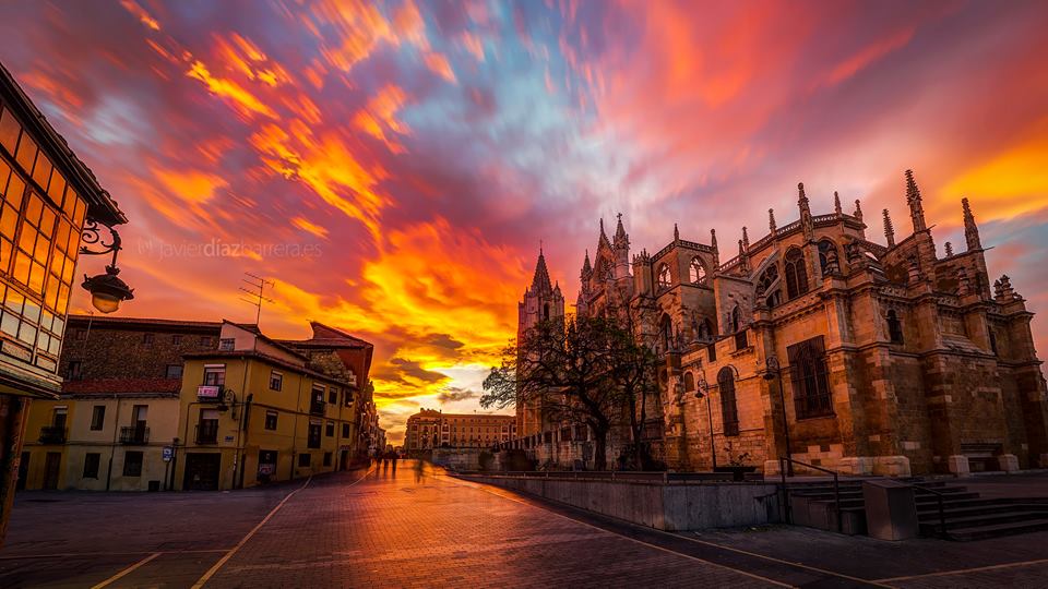 Buenas noches
Explosión de color en la Pulchra Leonina
#AmS
<a href="/hey_lola64/">hey_lola64</a> <a href="/NorelkyFereira/">mi corazón16 💖</a> <a href="/dilruba_lees/">Dee_UK🇬🇧🇺🇦</a> <a href="/pazsublime/">Sandra P</a>