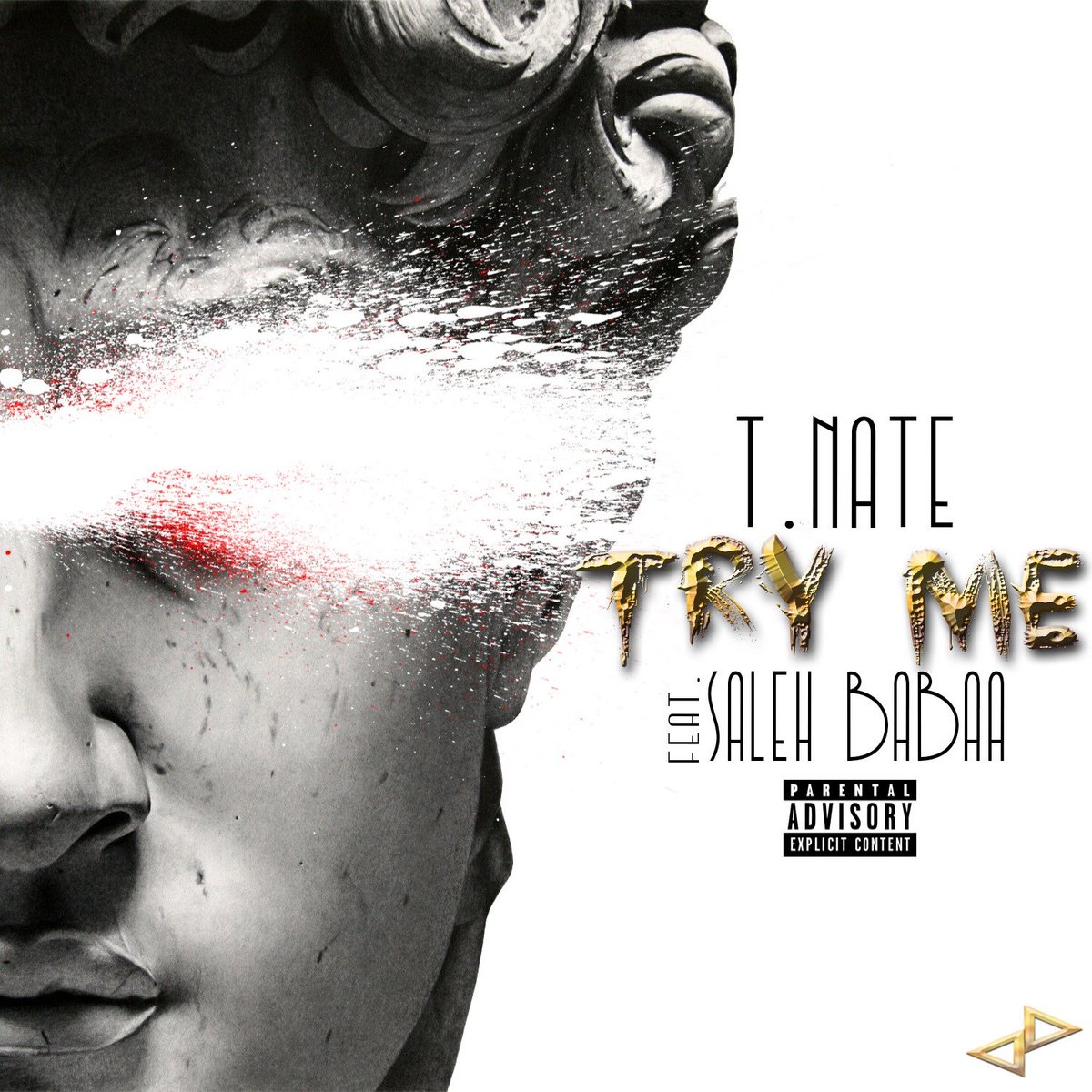 TNateDaGreat's tweet photo. T. Nate - #TryMeRemix Ft. Saleh Babaa https://t.co/dunFb0KkHH on #SoundCloud https://t.co/1rcIHbAeQ3