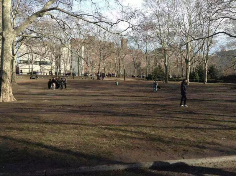 rt16888's tweet photo. after the rally, Cadman Plaza Park is even cleaner than before!
#Justice4Liang @Justice4Liang https://t.co/nQn6HOr1Fm