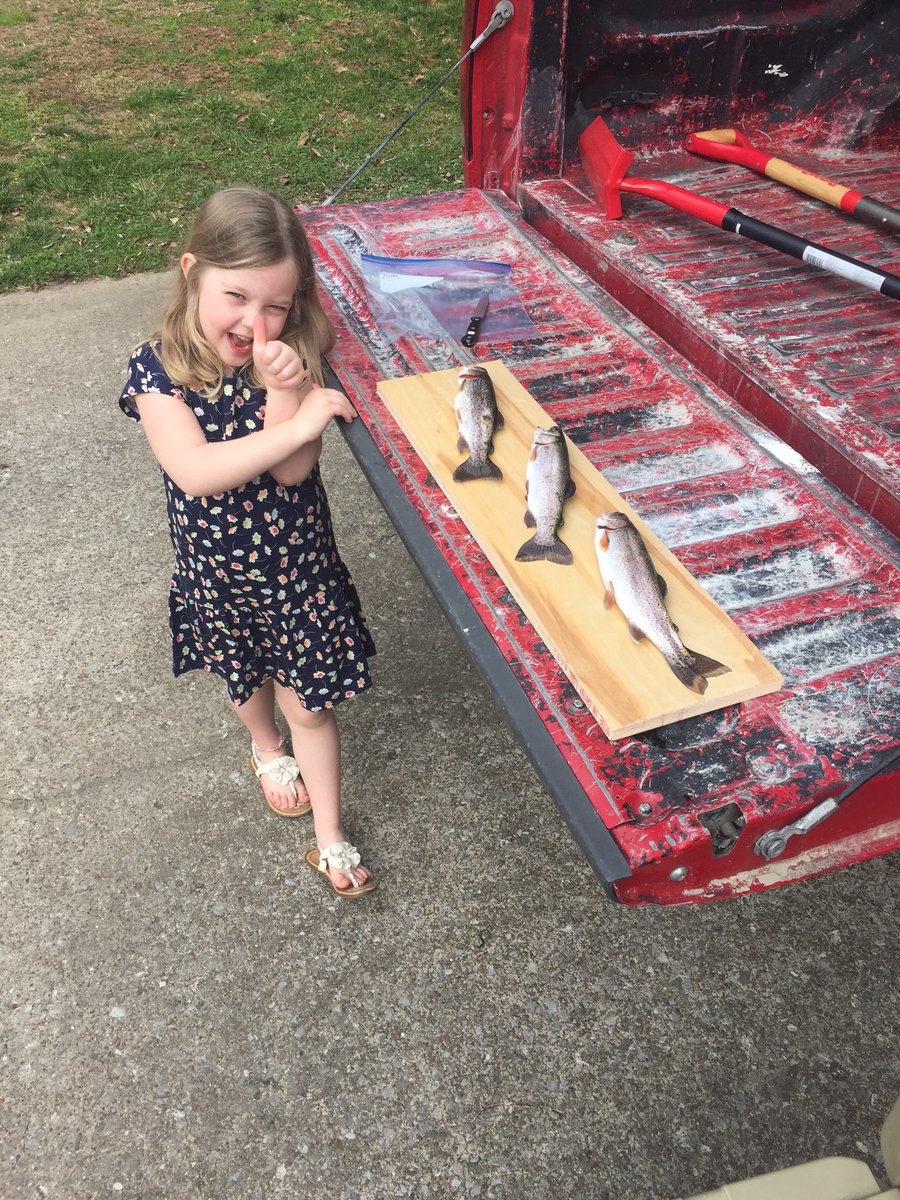 JustinCBennett's tweet photo. Trout for dinner. Gotta love the outdoors! https://t.co/PsqCgHV8dT