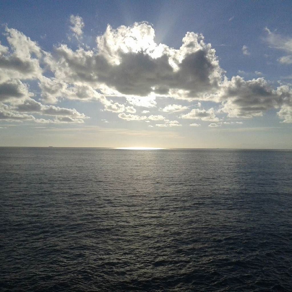 camogligram's tweet image. Camogli: #almostspringtime #winterisend#liguria#camogli#naturalcolours#nofilter by @omard84