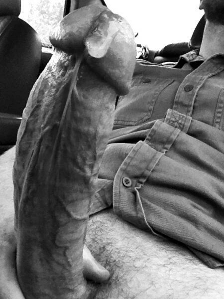 CbsE_kBWwAApSWa.jpg:large