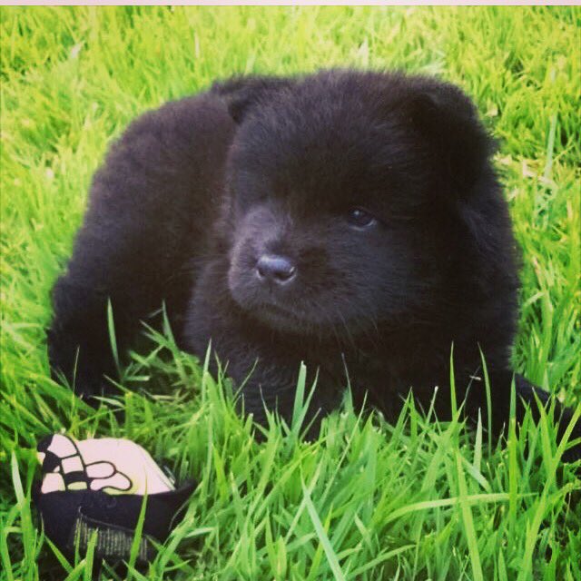 carolpaiva(BETA)#SDV (@carrolpaiva) on Twitter photo 