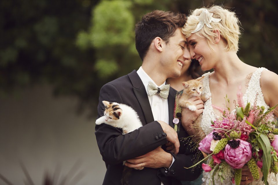 IDoIDoWP's tweet photo. Pueden incluir a sus gatitos en la sesión de fotos de su boda, les dejamos una tierna idea.
#IdoIdowp #DiaDelGato https://t.co/X0ehQJ1eOl