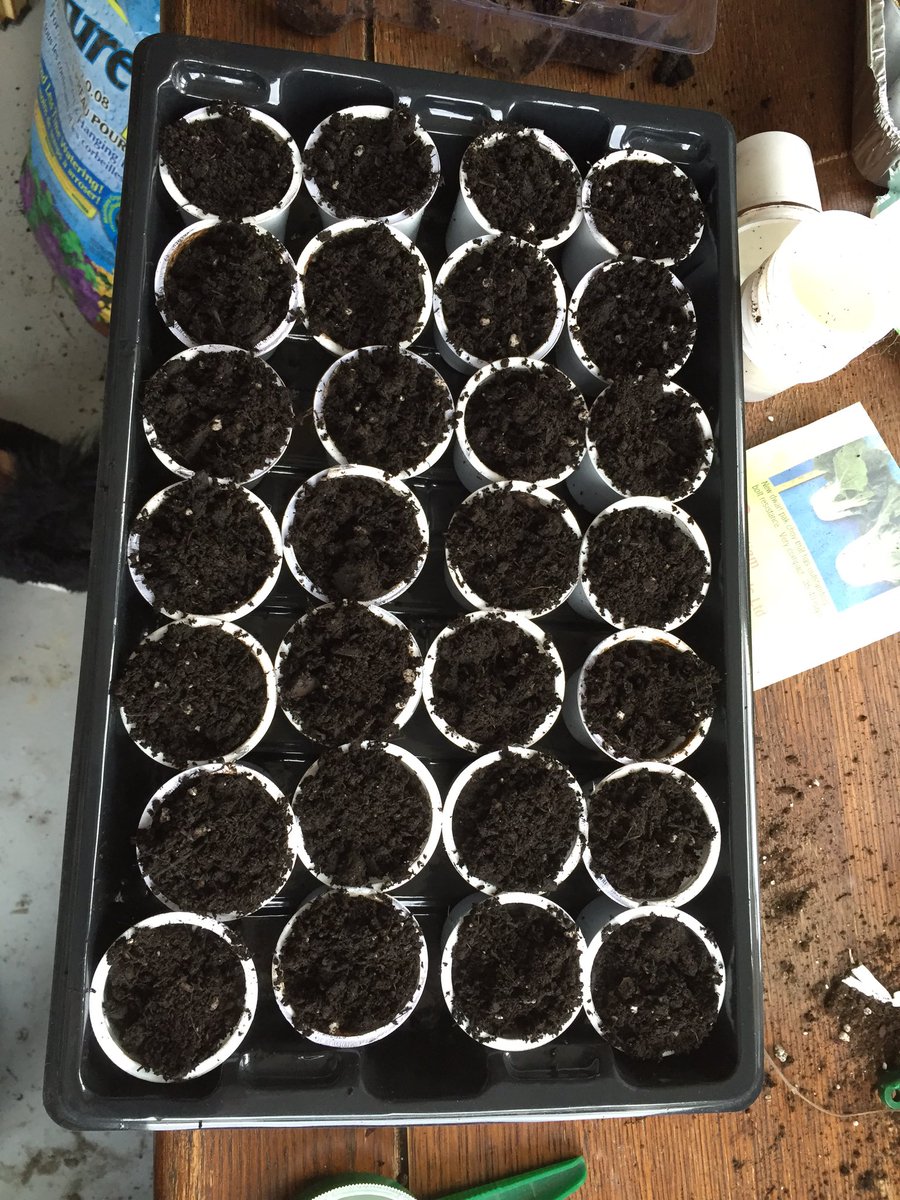 Time to get growing.