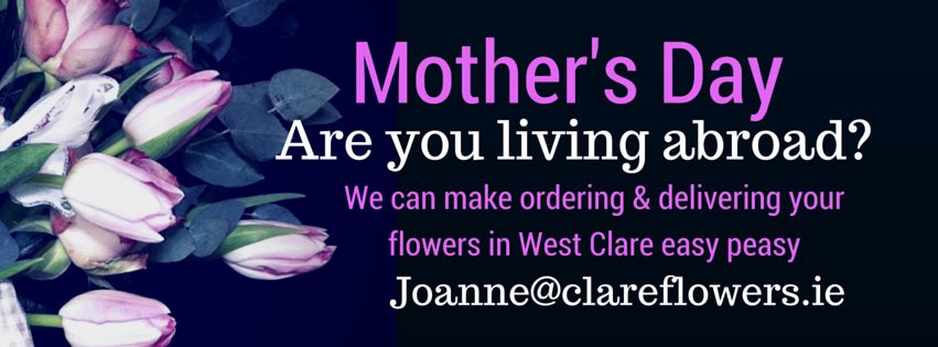 JOsFlowerShop's tweet photo. Did you tell mammy you got citizenship? #LetJoSoftenTheBlow #flowersformammy #JosFlowerShop #Irishabroad https://t.co/qGwWHxUAhS