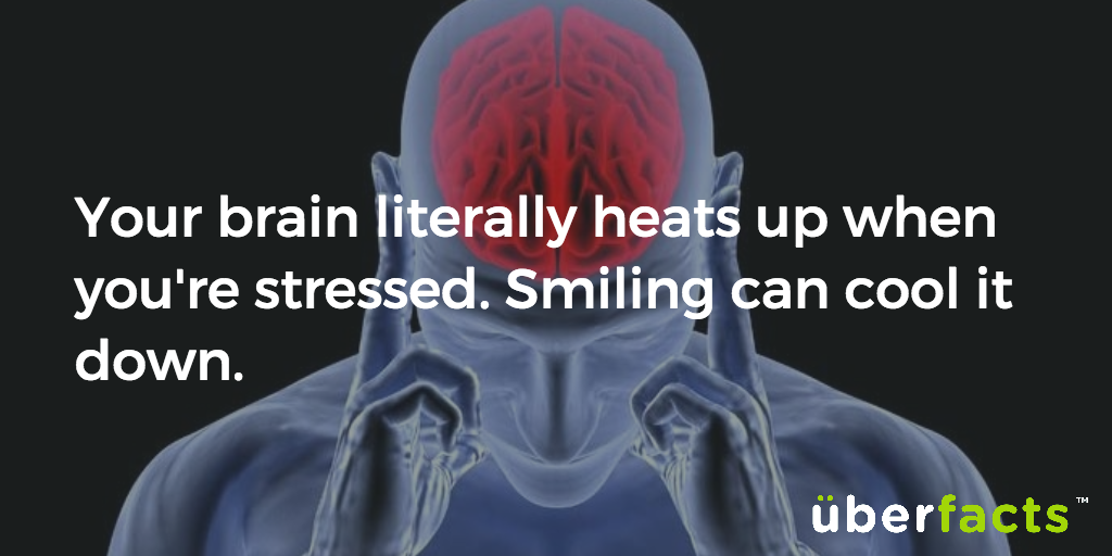 UberFacts's tweet photo. Things to know. https://t.co/bZxgiKjQPe