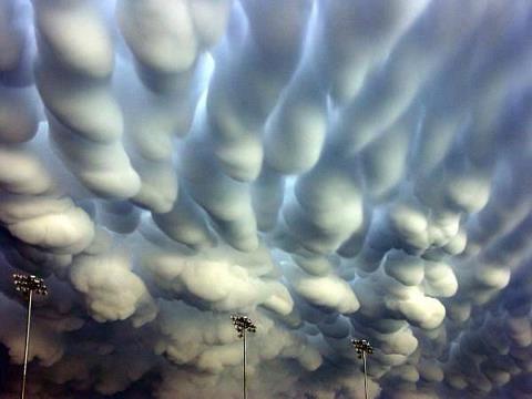 Sarahann8591's tweet photo. @GEO101SUNY Such a crazy picture. Wasn't sure if it was real, but I seemed to find a few similar looking ones. https://t.co/7dnoVP22zv