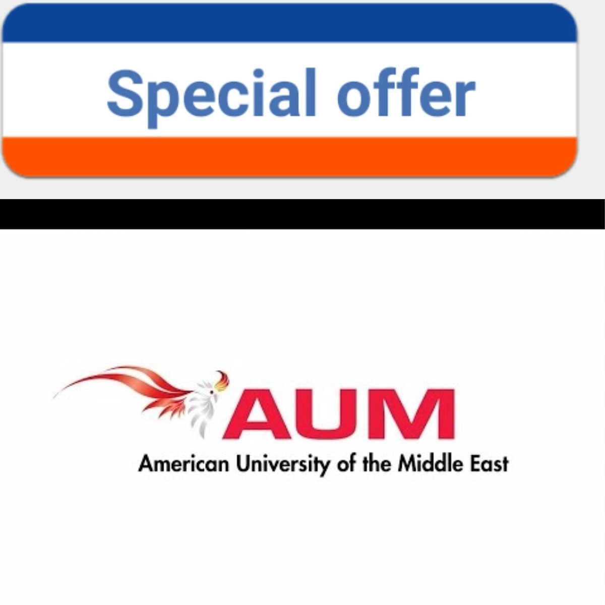 projects tweet media