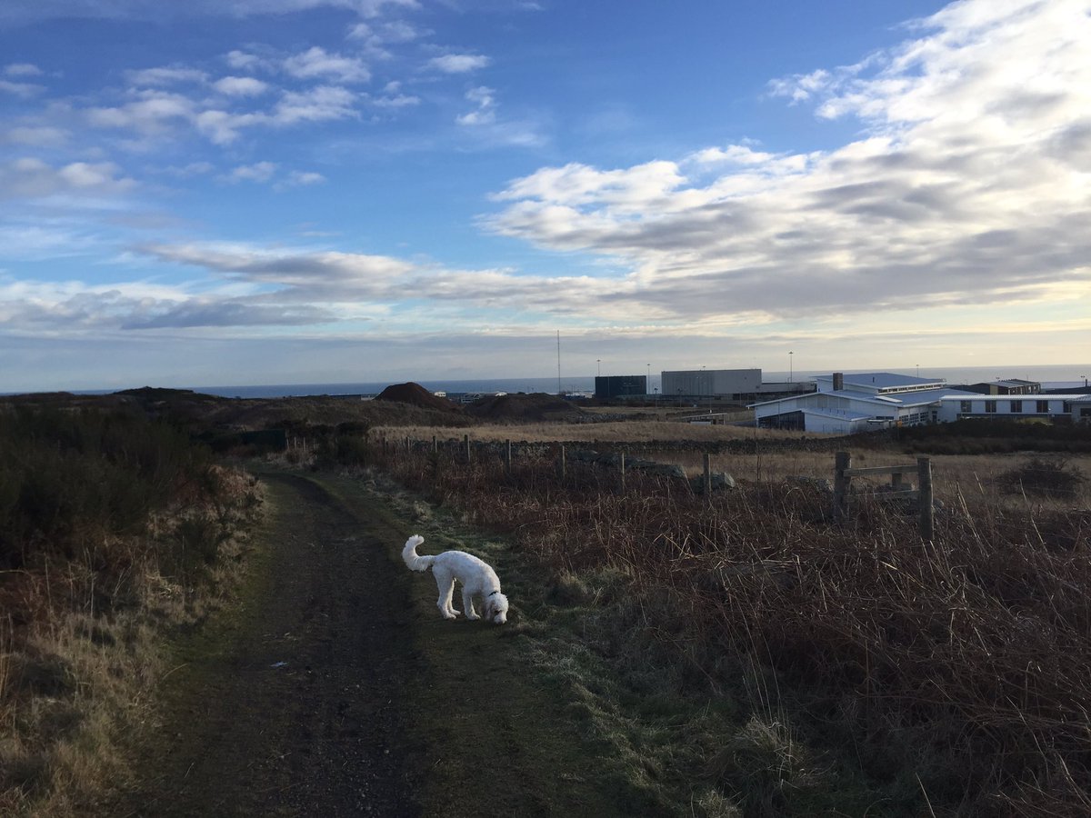 Out on Tullos Hill early this morning with the dog and a good view of my 2008 Champion Technologies winning design.