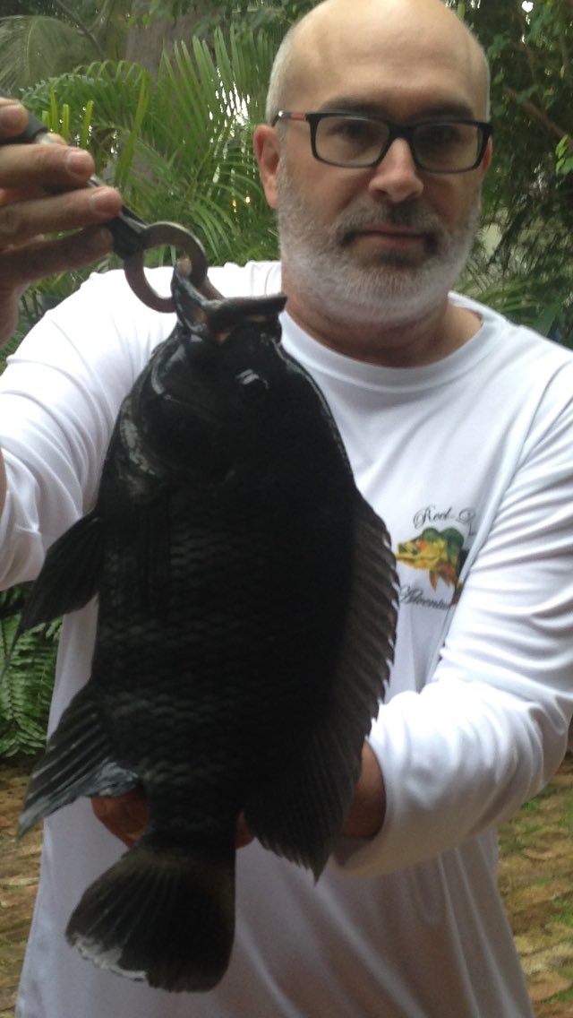 amado_LP9's tweet photo. Tilapia in the backyard https://t.co/jnJP7l35Wf