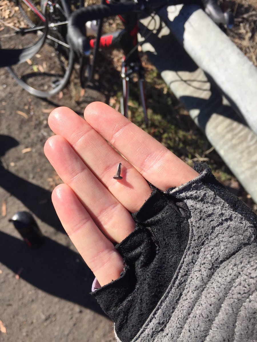 emmawhitecat's tweet photo. Please, whoever is doing this at Kew Boulevard, please stop #stopthetacks https://t.co/fwHtMiD7qw