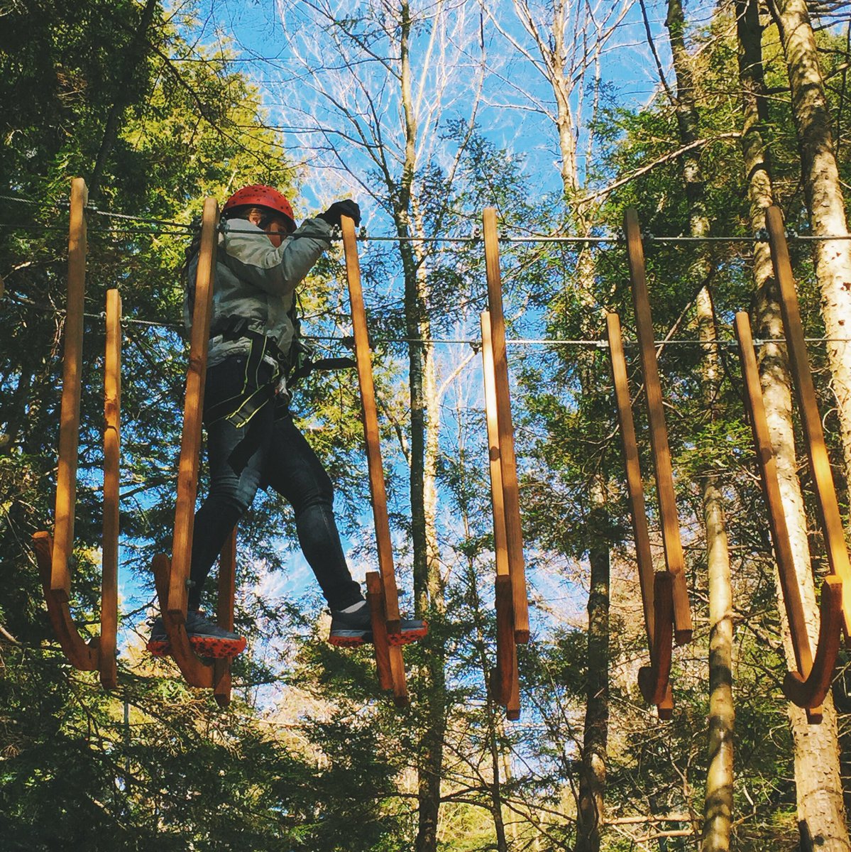 RamblewildFun's tweet photo. Thanks to all you joined us in the trees today. Really great day to be #outdoors! #tree2tree https://t.co/lBcvDhONgB
