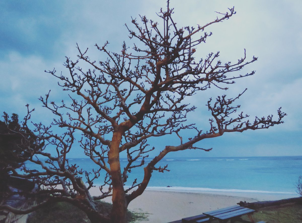 아마미섬 3일째, <소년, 소녀 그리고 바다> 촬영지 몇 곳을 둘러봤다. 마침 흐리고 비오는 날이라 영화 속 분위기를 느낄 수 있는 풍경을 볼 수 있어서...