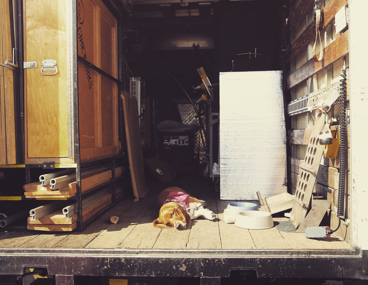 MaltShopMovies's tweet photo. Danger the Dog on #firewatch. #gripdog #cineworks https://t.co/ifBxgHd7Ib
