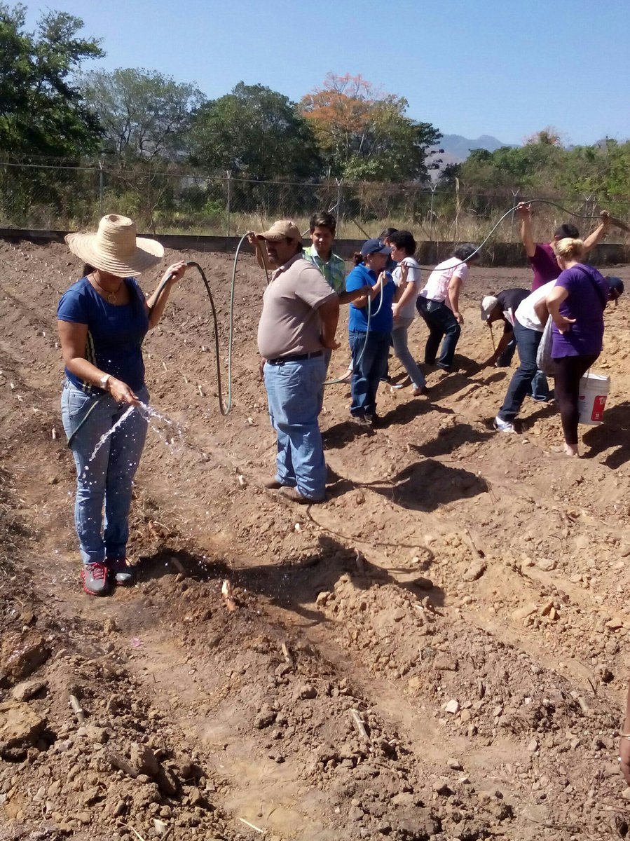 endogenomontes's tweet photo. Jornada de siembra Liceo Bolivariano Arenas Montes Sucre @karsanc @rodulfohumberto @cdiazg63 https://t.co/M5rNU8h4Az