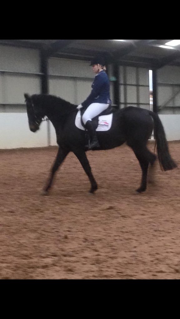 Fabulous outing for Black Bess 68.7% and qualified second round of Trailblazera <a href="/HoofiesEq/">Hoofies Equestrian</a> <a href="/ChilloutHorsewr/">Chillout Horsewear</a> 🌟🌟🌟