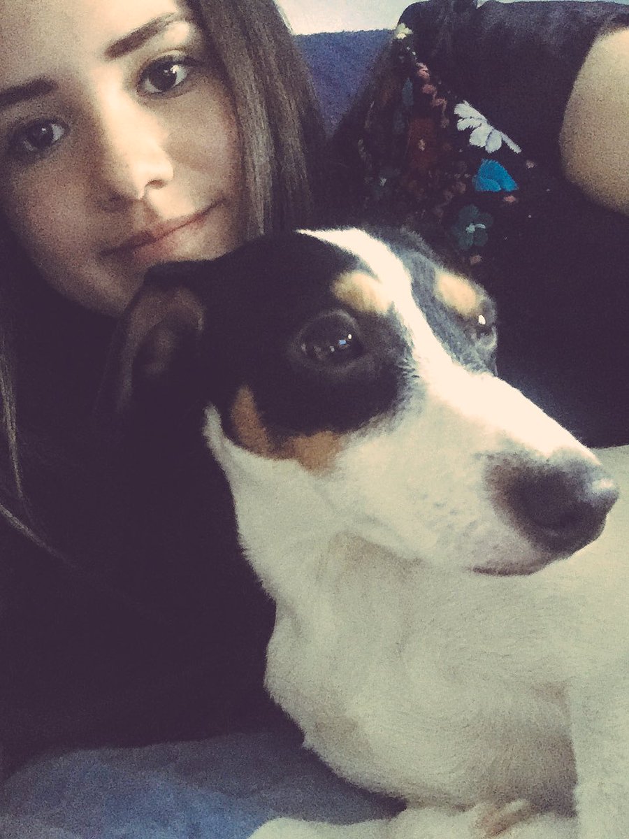 evelyncassio's tweet image. Mi mejor compañía para ver el partido🐶