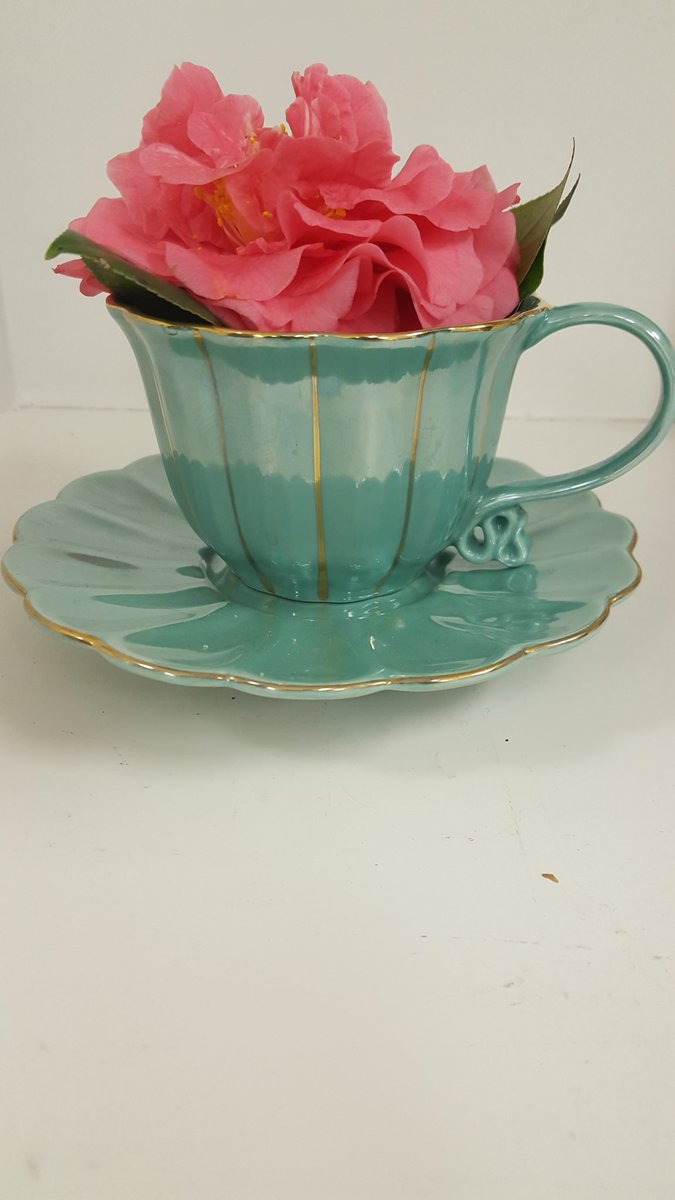 Instead of buying flowers cut them from your garden!  Simple as a pair of sissors and a teacup.