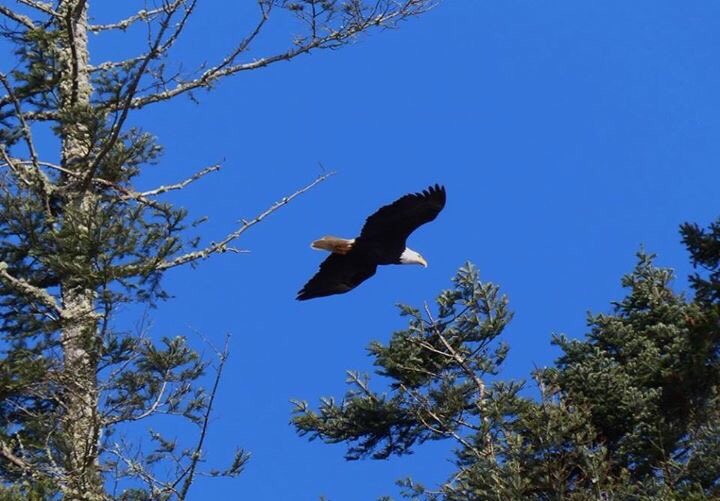 How we want you to remember Alaska.
#travel