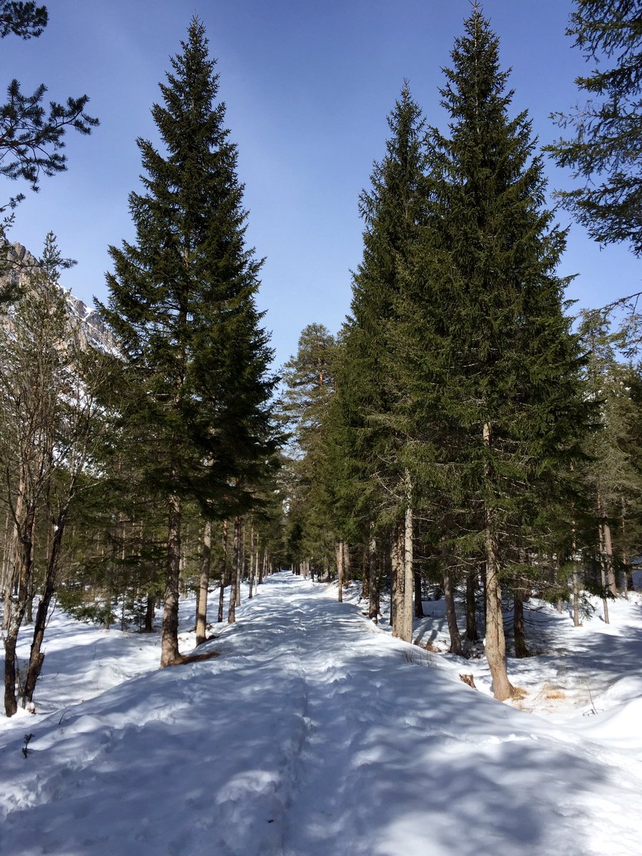 <a href="/cortinadolomiti/">Cortina d'Ampezzo Official Page</a> <a href="/dolomia4ever/">Barbara</a> <a href="/AITDOLOMITI/">AIT DOLOMITI</a> <a href="/DolomitesUNESCO/">Dolomites UNESCO</a> bosco di #fiammes #colori e #profumi meravigliosi