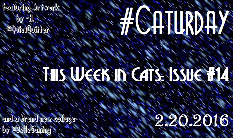 nonsteader's tweet photo. Don't forget to come check out our brand new #Caturday! https://t.co/N8zchfTdGm https://t.co/u2ZruUgAus