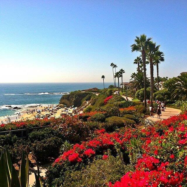 projectnokng's tweet photo. #UTrCenter California dreaming. #LagunaBeach #LiveTravelChannel Photo by: @thewanderbite https://t.co/LrnNUAGGEF https://t.co/ed6nuuumxH
