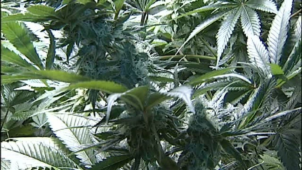 NBC10's tweet photo. Top Rhode Island lawmaker signs on to legalizing pot
https://t.co/2USDjFgkLe https://t.co/ixGeJIy54t