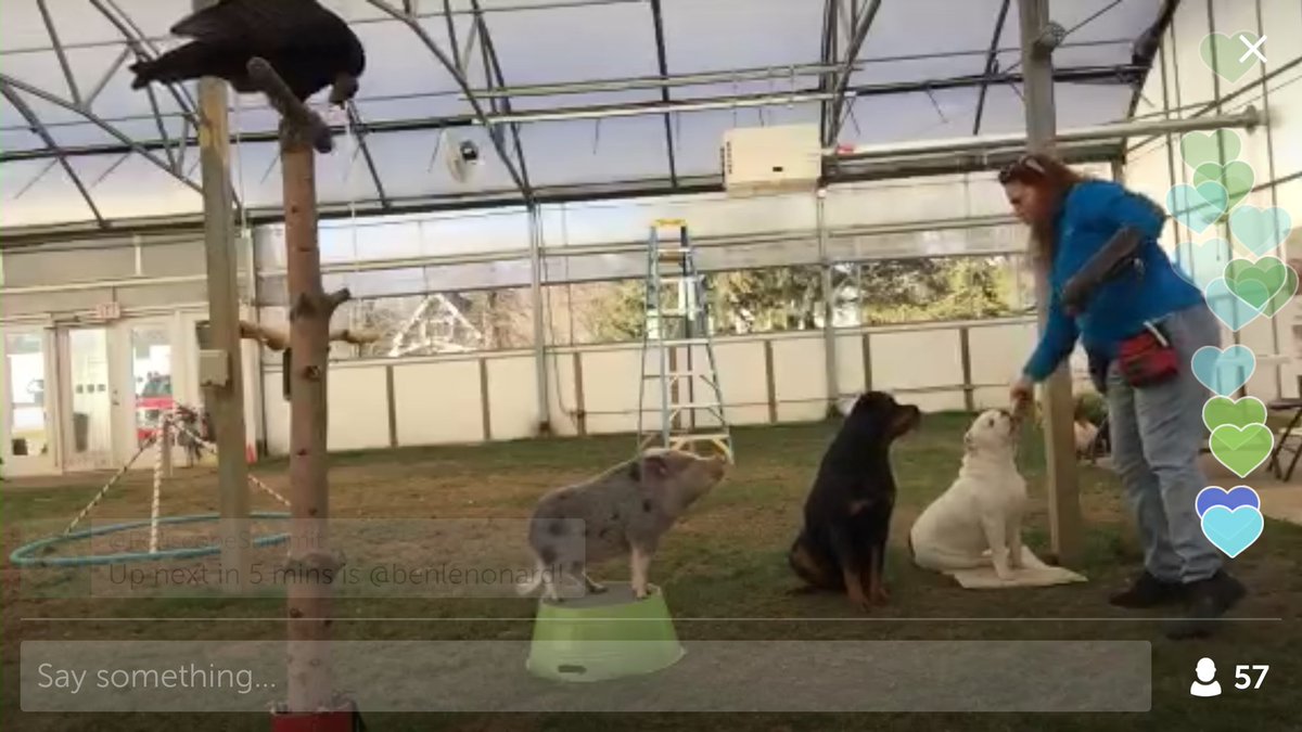 ChrisHettwerWI's tweet photo. @LaraJoseph @periscopeco Oh my gosh, this one turned out SO cute! https://t.co/F3YluK3SMm