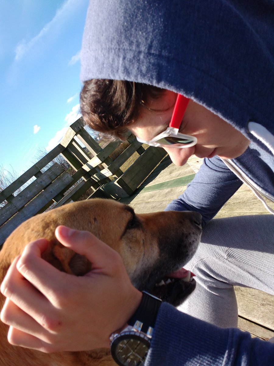 GigiRuuiz's tweet photo. Necesario🐶🐝👐🔒💕 https://t.co/jJcA3pQjsS