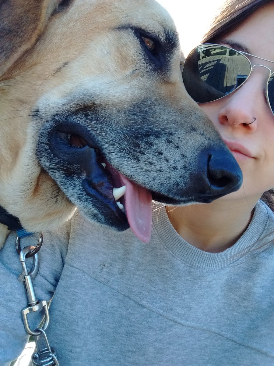 GigiRuuiz's tweet photo. Necesario🐶🐝👐🔒💕 https://t.co/jJcA3pQjsS