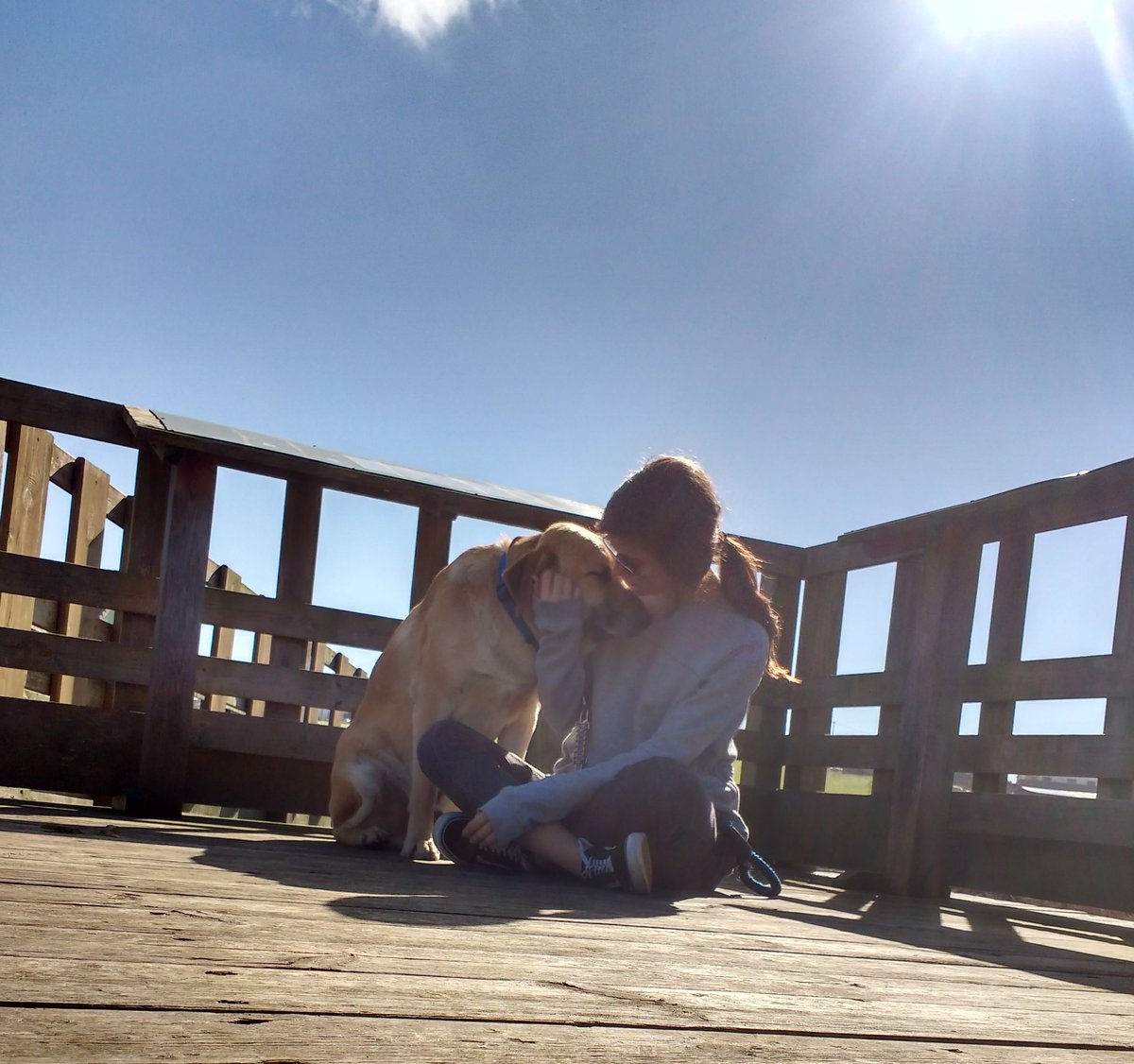 GigiRuuiz's tweet photo. Necesario🐶🐝👐🔒💕 https://t.co/jJcA3pQjsS