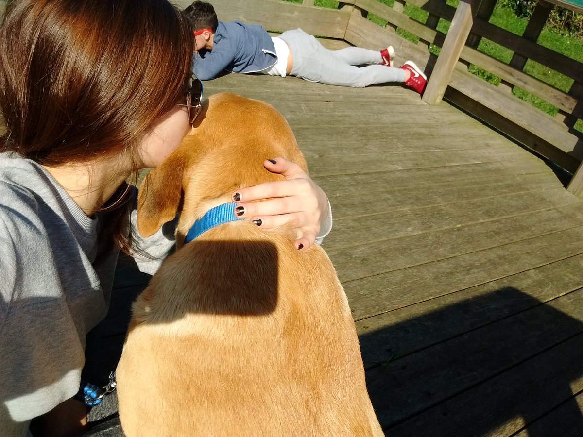 GigiRuuiz's tweet photo. Necesario🐶🐝👐🔒💕 https://t.co/jJcA3pQjsS