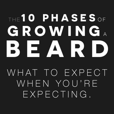 The August Beard tweet media