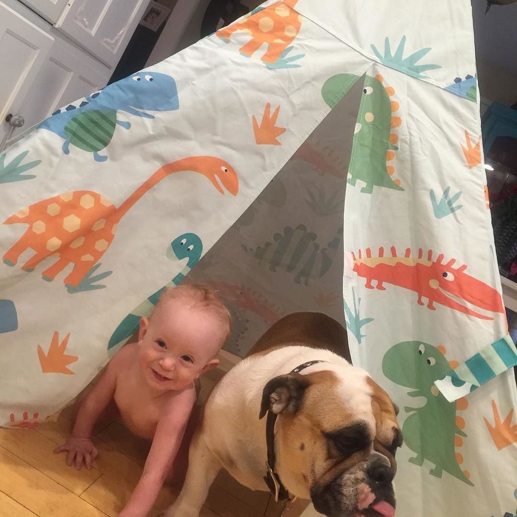 melissarandd's tweet photo. Look how cute!!! Helena loves her new #FiveJoy teepee! It was super easy to put together &… https://t.co/F7gU1aR9Fd https://t.co/HDYv4UcPsL