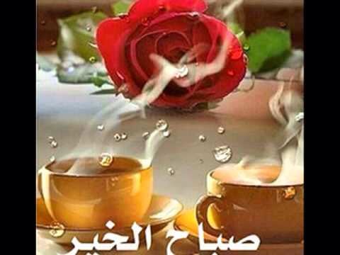 251somaa's tweet photo. صباح الخير https://t.co/ueIOaRmMyf