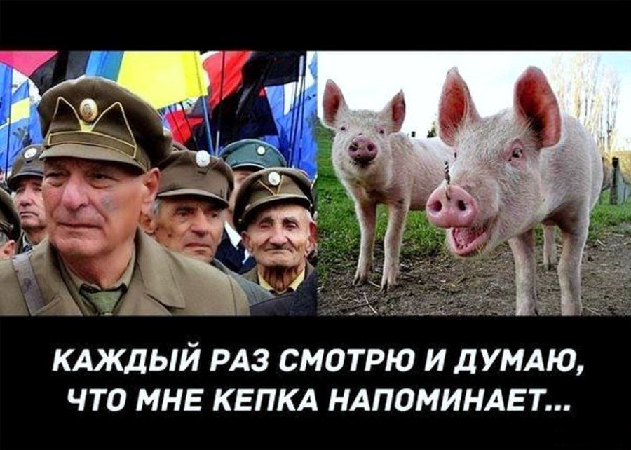 Очень смешные картинки про украину