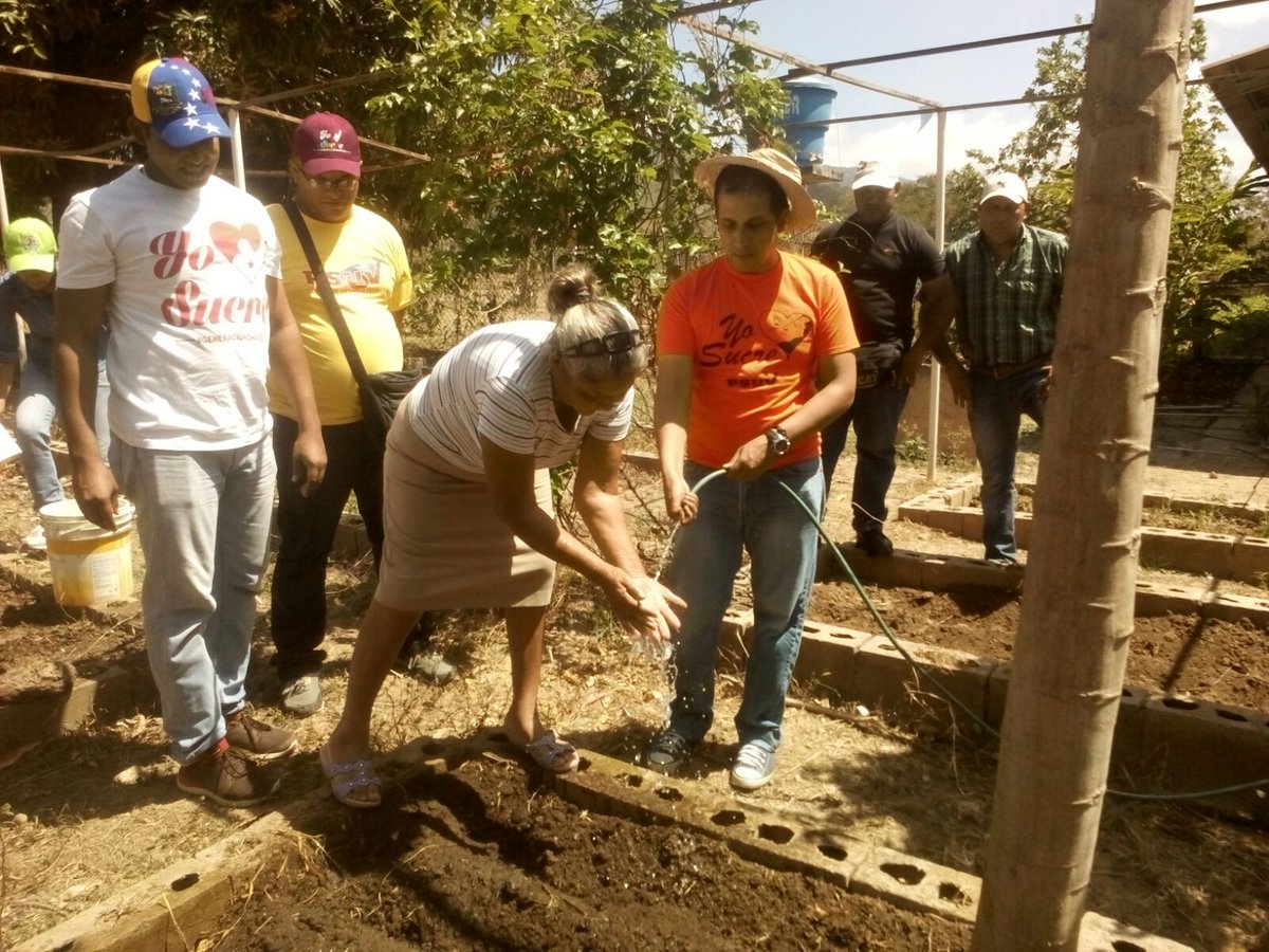 KeallmyLopez's tweet photo. Juventud Productiva con nuestro diputado @EdwinRojasM en la siembra .@NicolasMaduro @MervinMaldonado @MorenoRicardoS https://t.co/yIzytFKC4w
