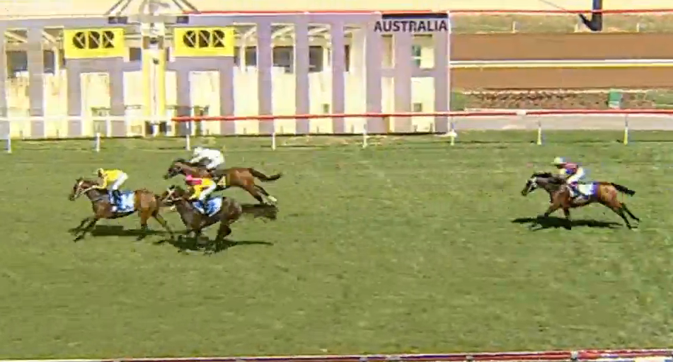 inglis_sales's tweet photo. .@BhimaTBreds grad SUPER TOO wins Lightning Ridge 2YO Plate on debut @ThoroughbredPk &amp; picks up $50k Inglis Bonus! https://t.co/5FIfjU00r8