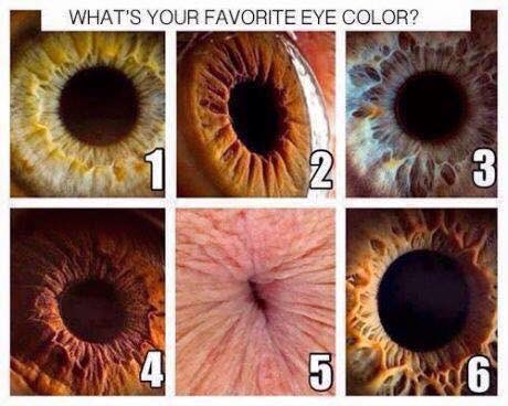 BCurtis97's tweet photo. #5 doe 😍😍😍😍😍 https://t.co/Mg2C4dBObI