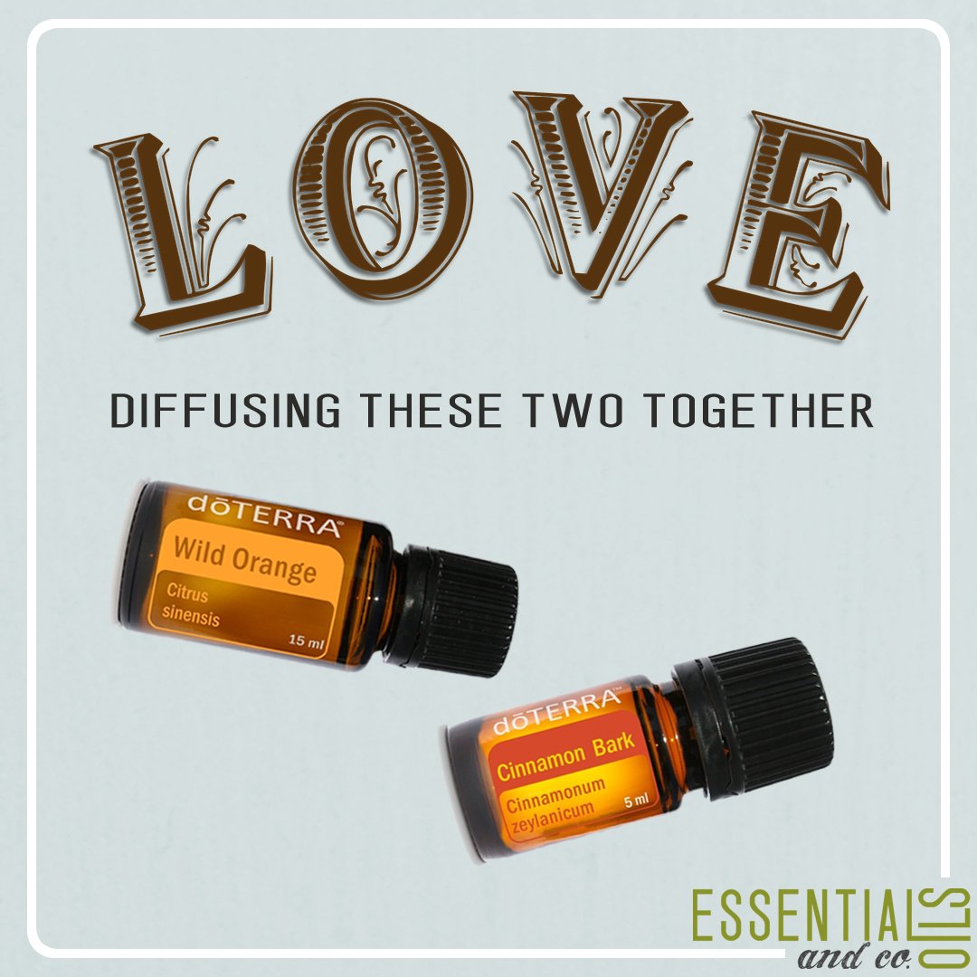 EO_and_Co's tweet photo. #WildOrange and #CinnamonBark were made for each other! #doTERRA #DiffuseEssentialOils #Diffusing #EssentialOils https://t.co/ZlDH9VDVVh