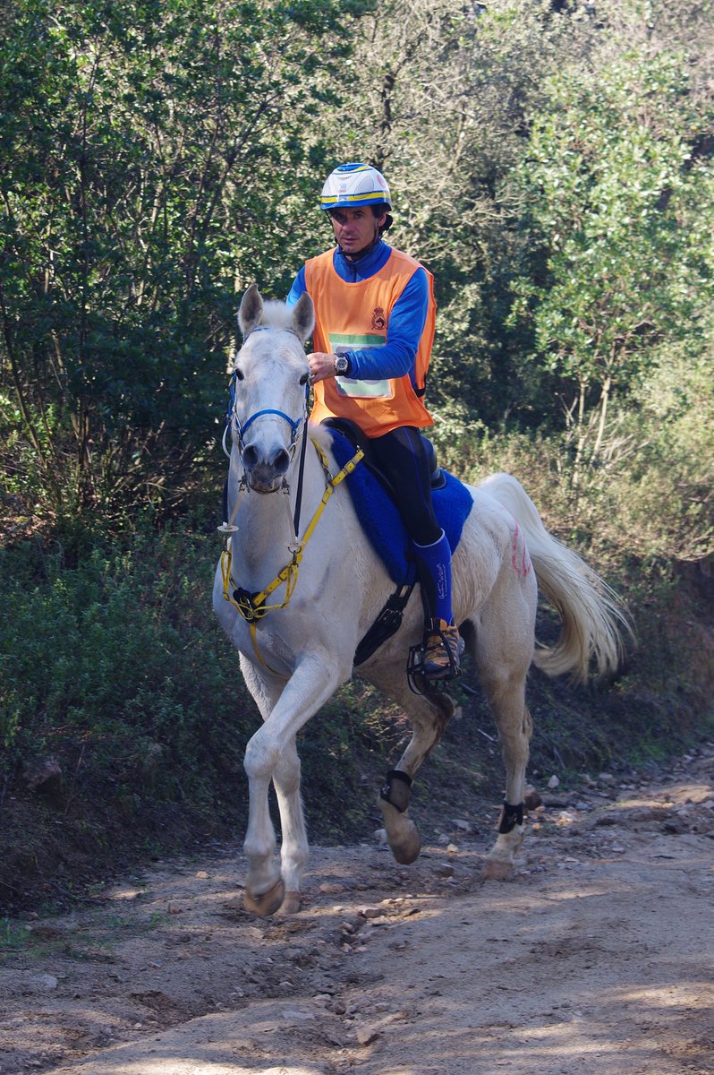 1er. Raid Hípic d'Argentona a Orrius....a canviat els cavalls mecànics.... Per cavalls animals... El reconeixeu ?